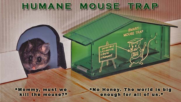 Humane Smart Mouse Trap