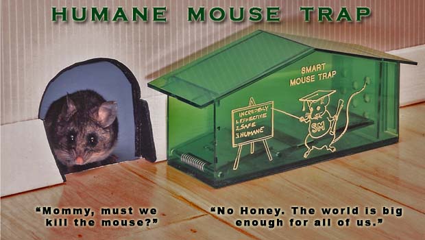 Smart mouse clearance trap